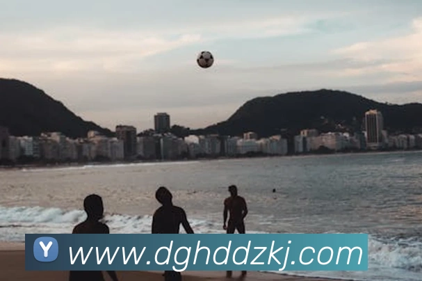 多媒体互动体验